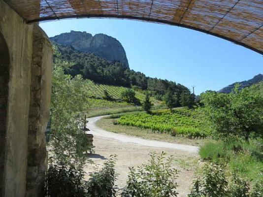 Domaine De Cassan Villa Lafare Екстериор снимка
